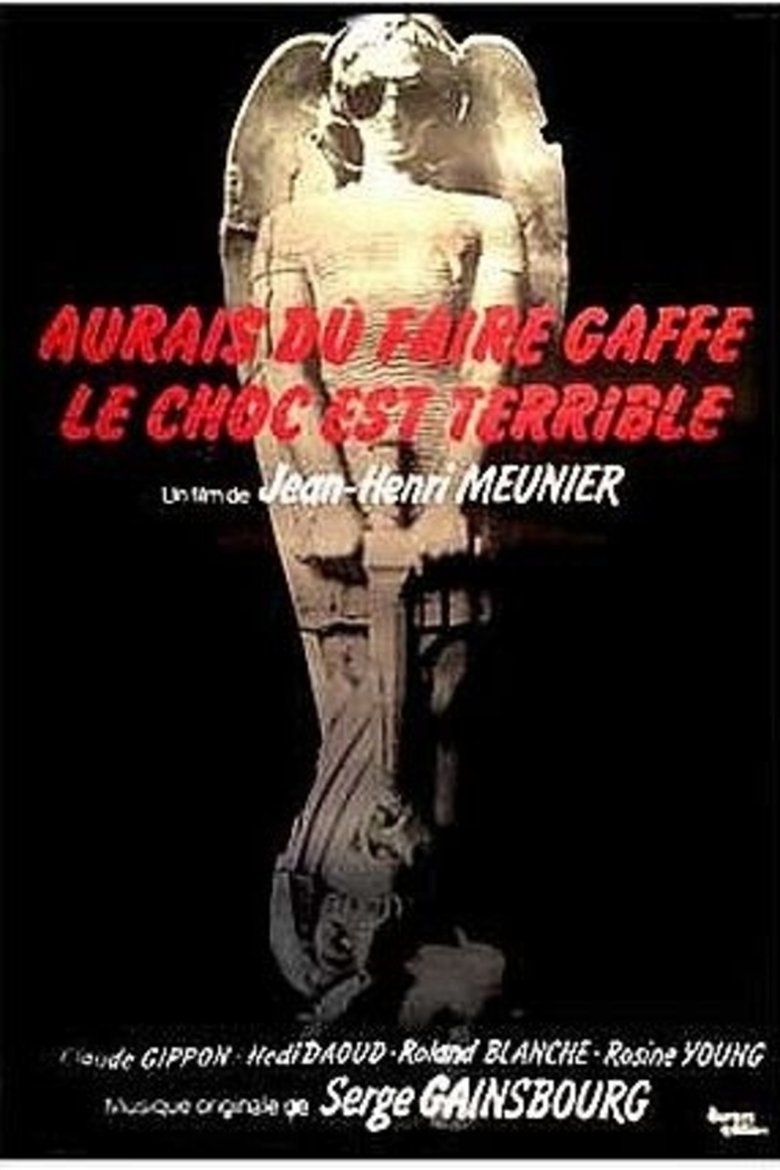 Aurais dû faire gaffe... le choc est terrible Poster of Aurais dû faire gaffe... le choc est terrible
