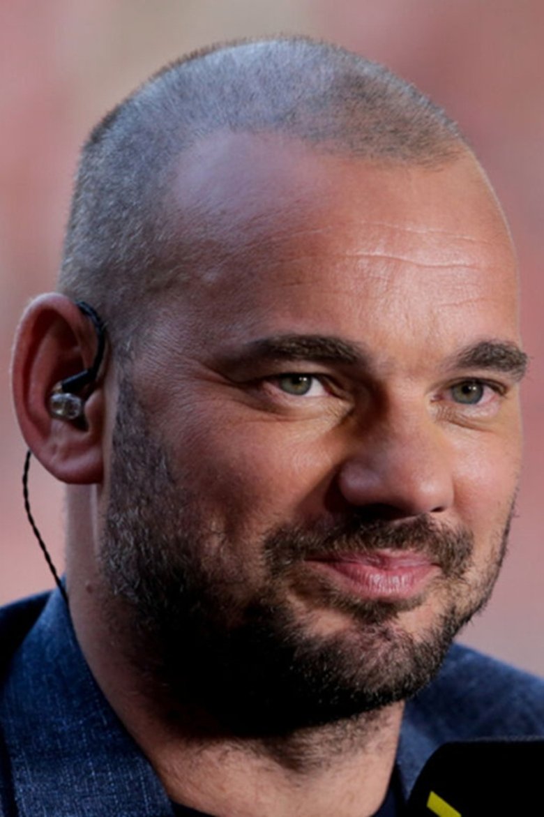 Wesley Sneijder Portrait of Wesley Sneijder