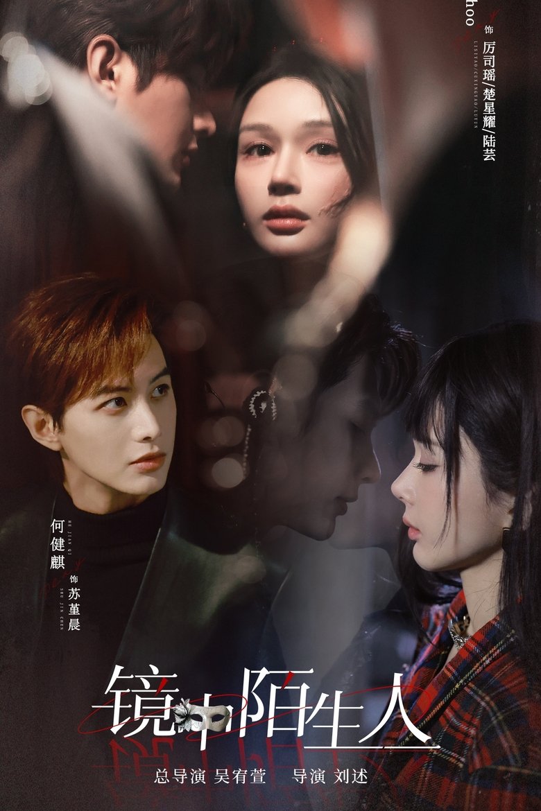 The Stranger in the Mirror Poster of The Stranger in the Mirror