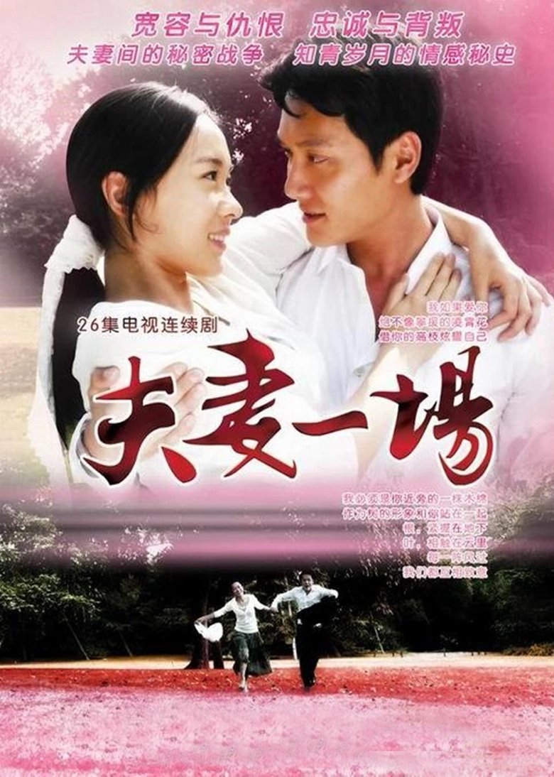 夫妻一场 Poster of 夫妻一场