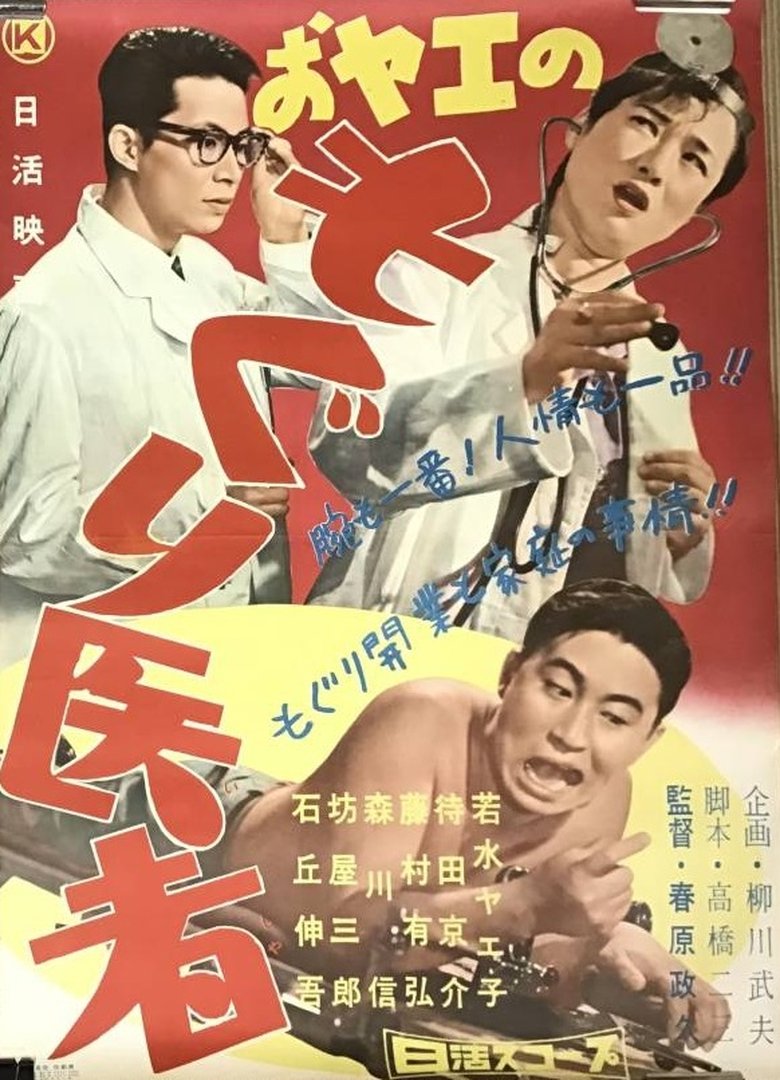 おヤエのもぐり医者 Poster of おヤエのもぐり医者