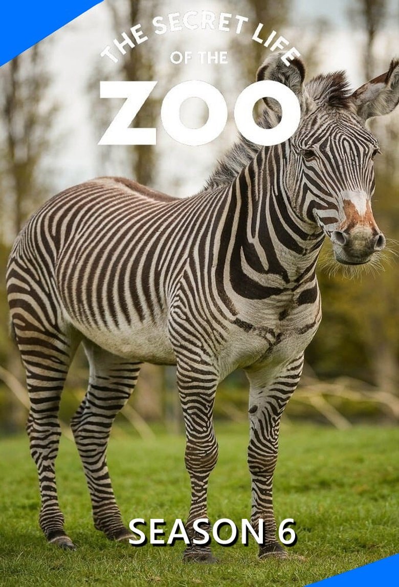 Episodes in The Secret Life Of The Zoo - Season 6 - Season 6 Poster of Episodes in The Secret Life Of The Zoo - Season 6 - Season 6