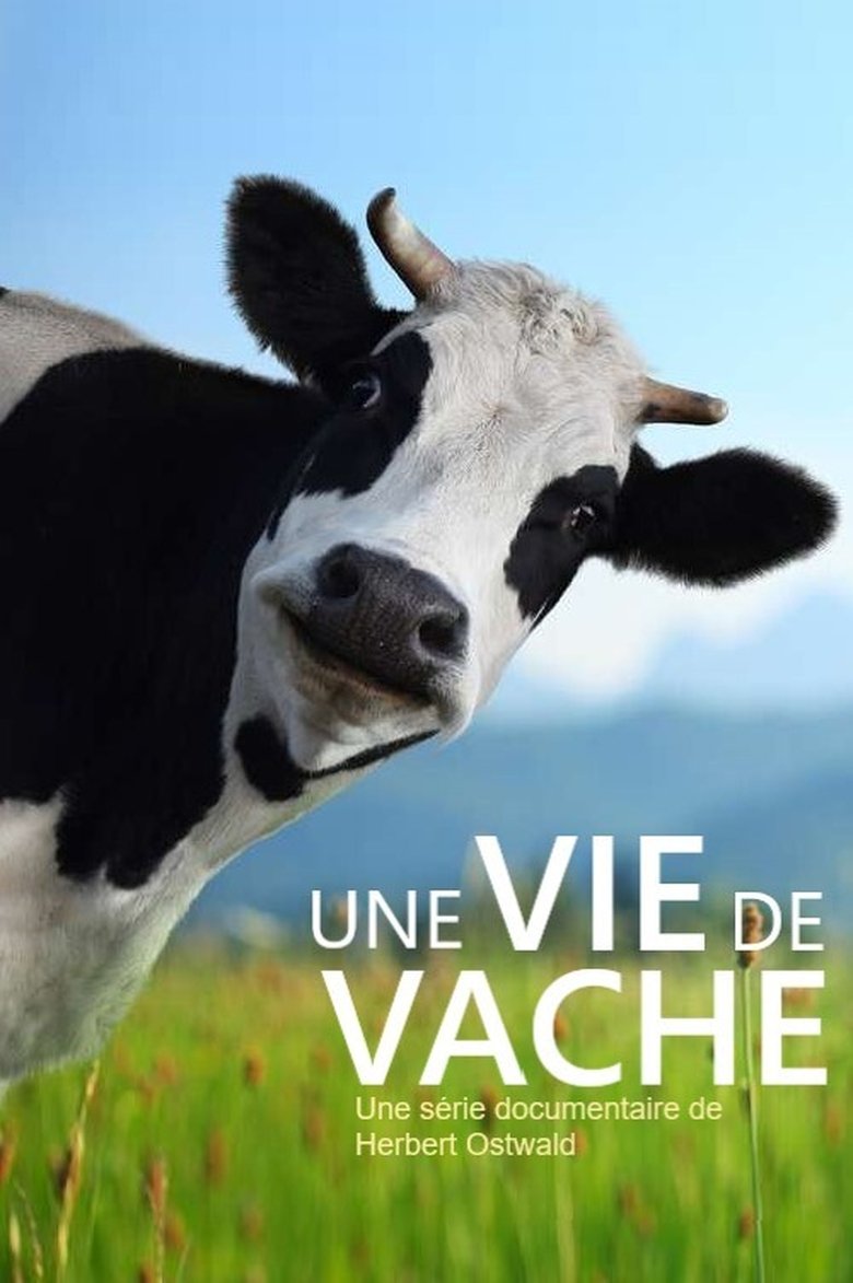 The Secret Life of Cows Poster of The Secret Life of Cows