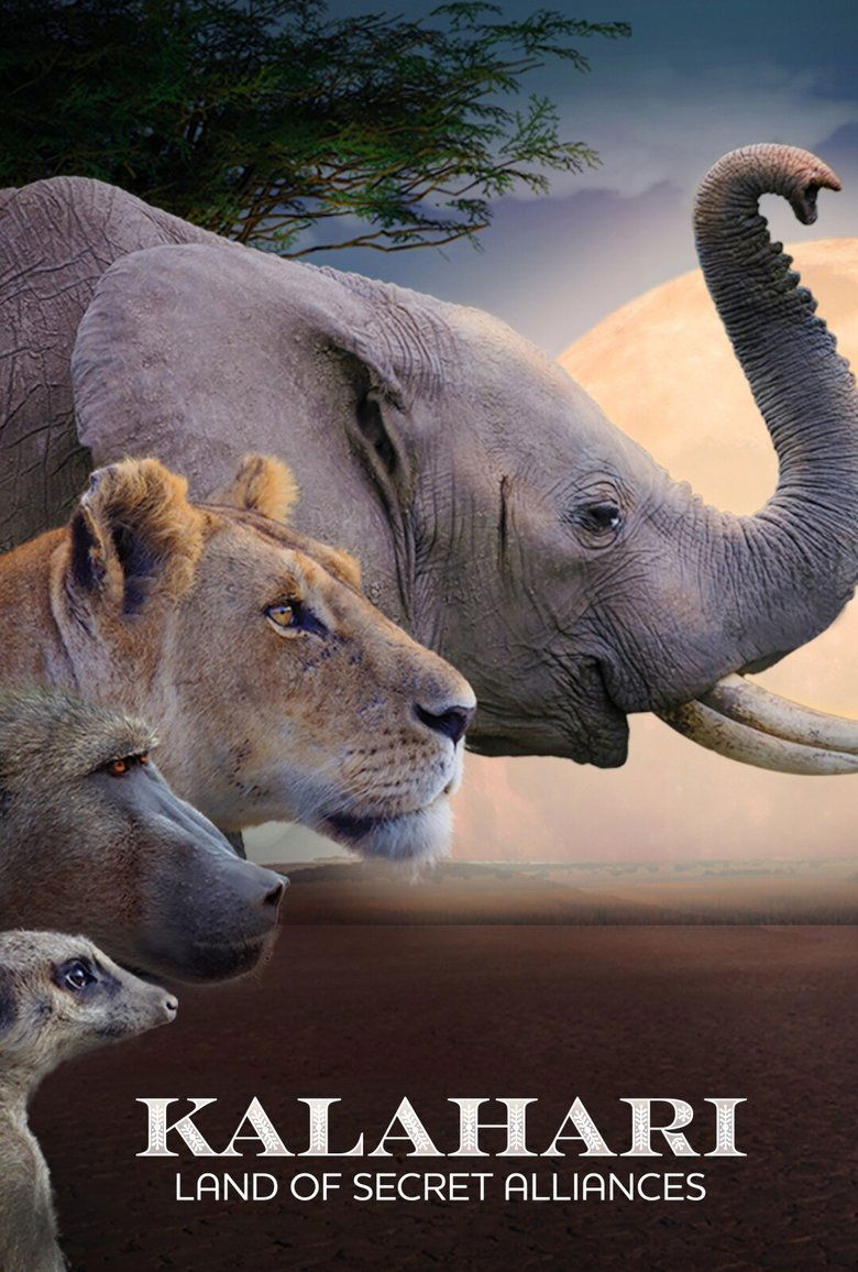 Kalahari: Land of Secret Alliances Poster of Kalahari: Land of Secret Alliances