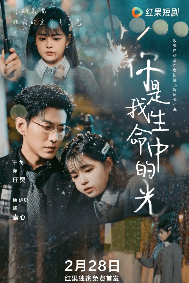 你是我生命中的光 Poster of 你是我生命中的光