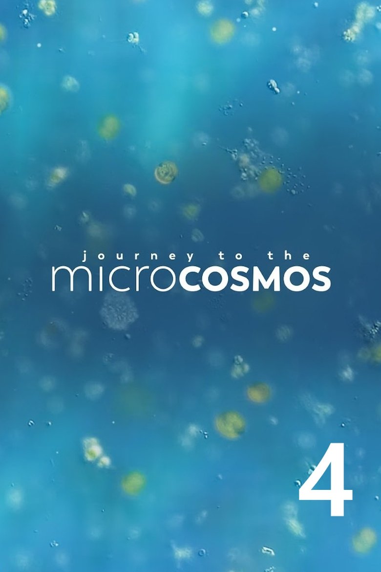 Episodes in Journey To The Microcosmos - Season 4 - Season 4 Poster of Episodes in Journey To The Microcosmos - Season 4 - Season 4