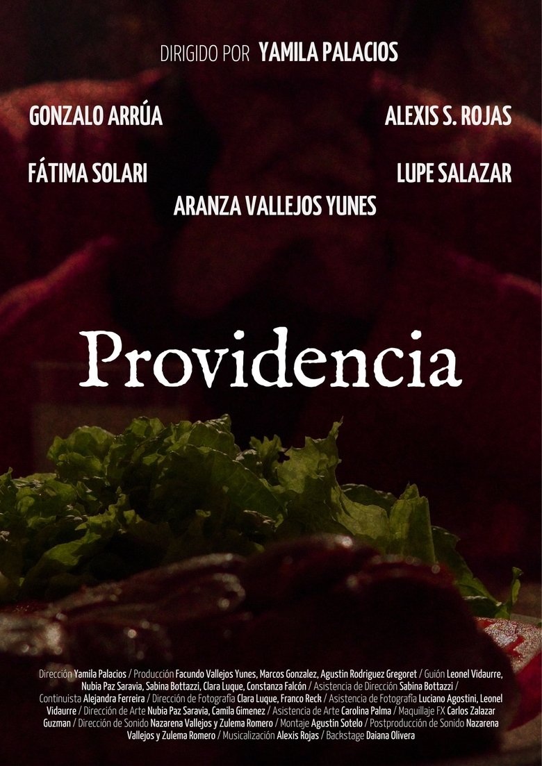 Providence Poster of Providence