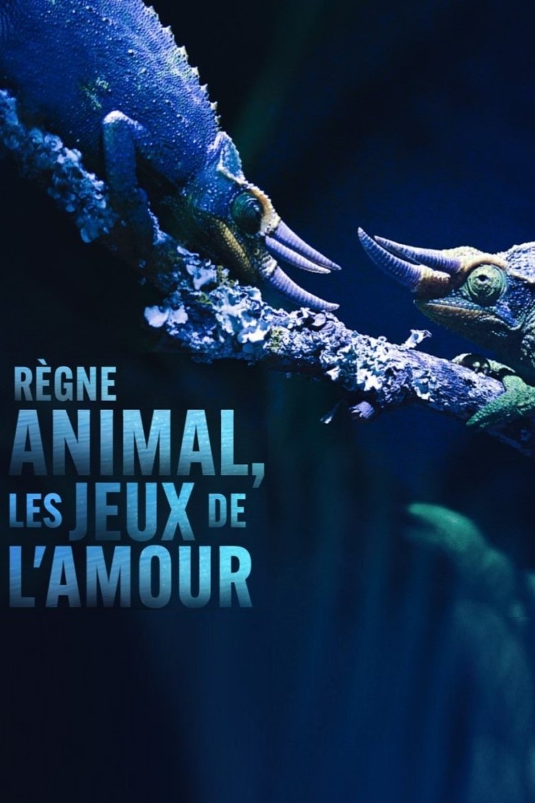 Episodes in Règne Animal, Les Jeux De L'amour - Season 1 - Season 1 Poster of Episodes in Règne Animal, Les Jeux De L'amour - Season 1 - Season 1