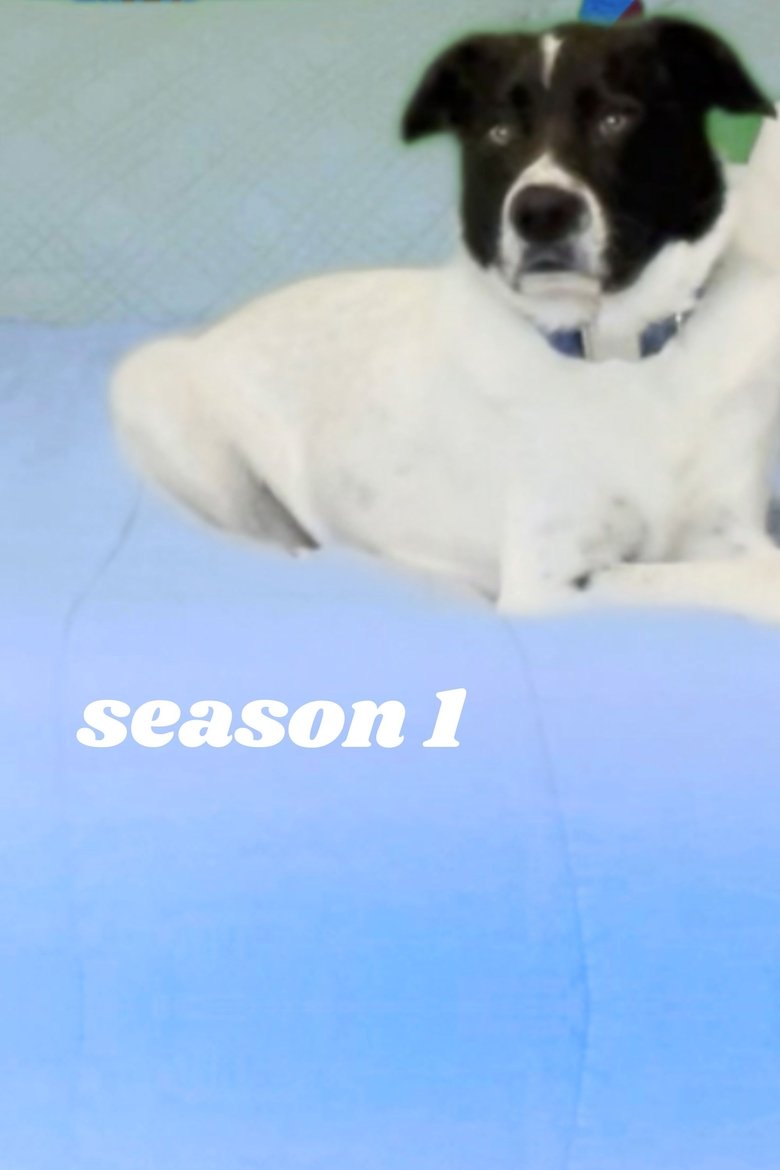 Episodes in Bedtime With Ryan And Oliver - Season 1 - Season 1 Poster of Episodes in Bedtime With Ryan And Oliver - Season 1 - Season 1