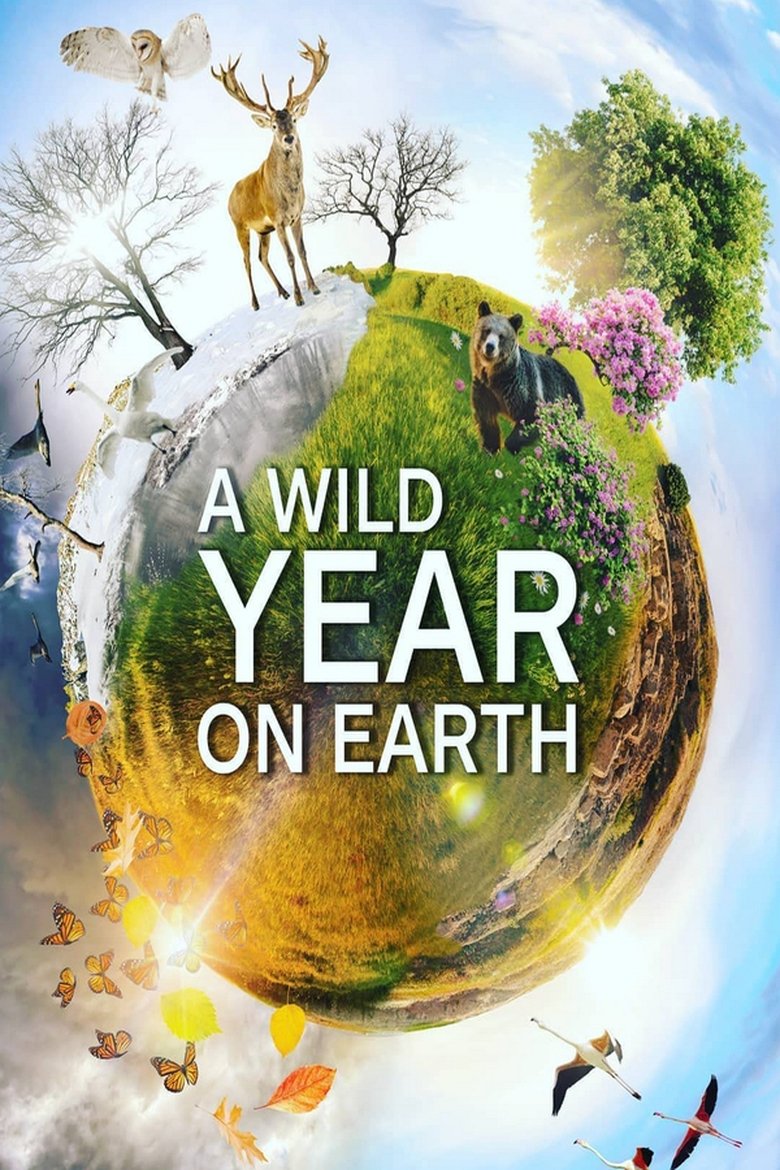 A Wild Year On Earth Poster of A Wild Year On Earth