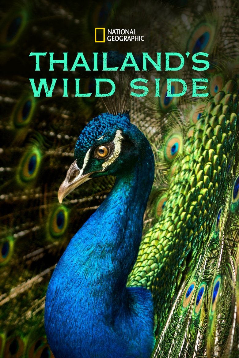 Thailand's Wild Side Poster of Thailand's Wild Side