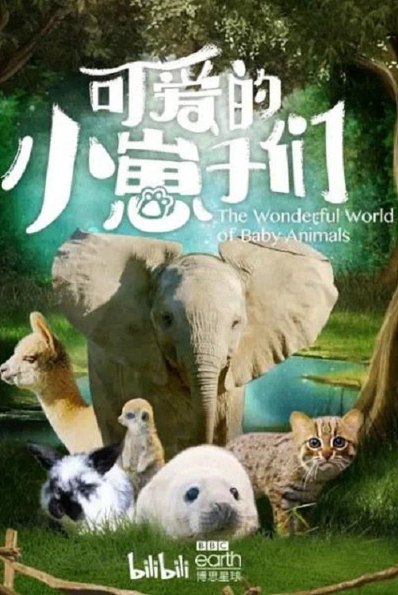 Episodes in The Wonderful World Of Baby Animals - Season 1 - Season 1 Poster of Episodes in The Wonderful World Of Baby Animals - Season 1 - Season 1