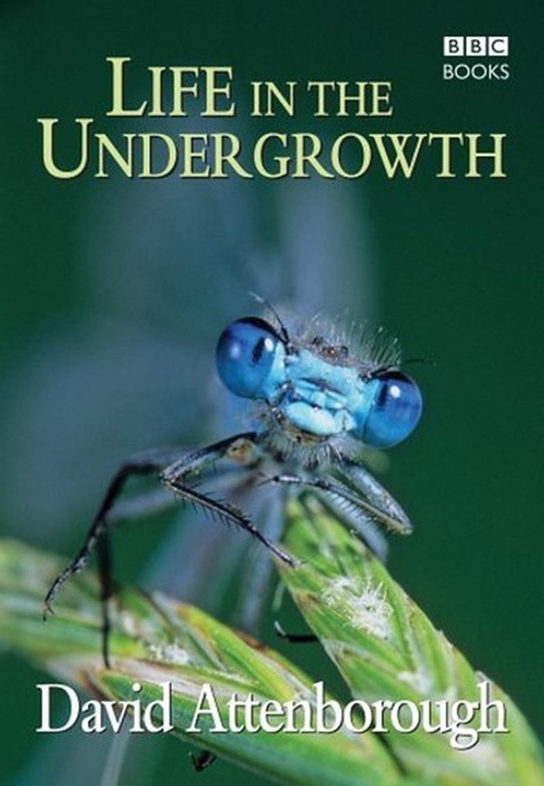 Episodes in Life In The Undergrowth - Miniseries - Miniseries Poster of Episodes in Life In The Undergrowth - Miniseries - Miniseries