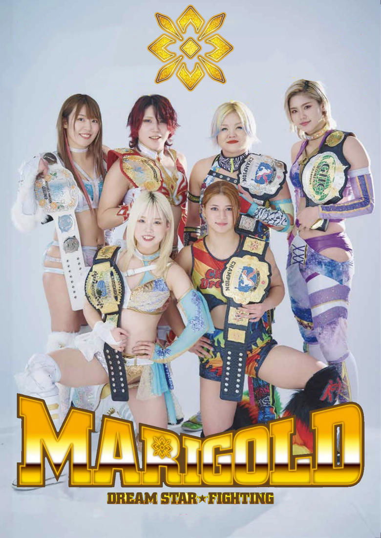 Dream Star Fighting MARIGOLD Poster of Dream Star Fighting MARIGOLD