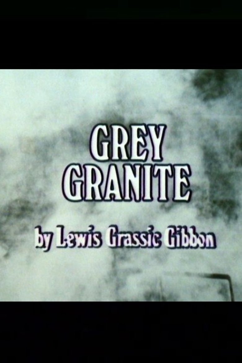 Grey Granite Poster of Grey Granite