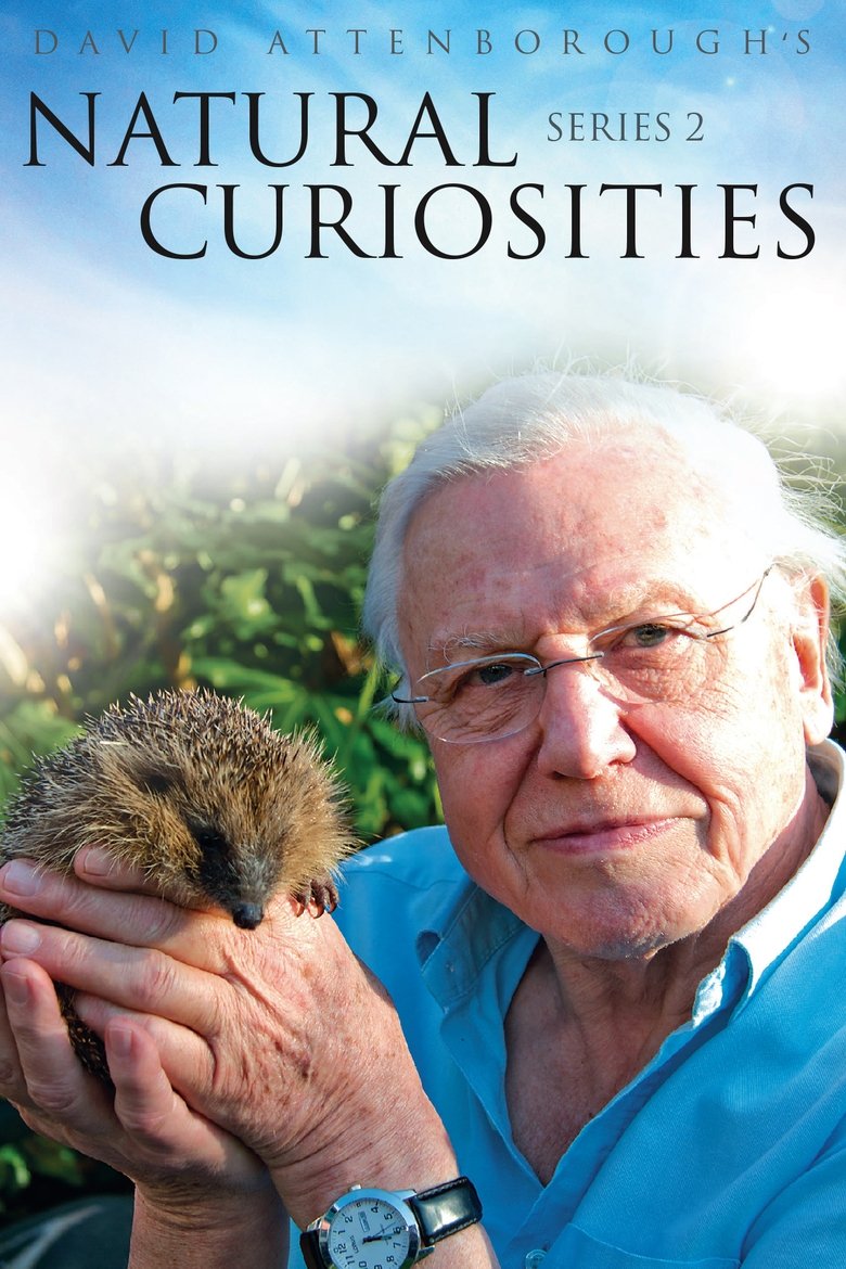 Episodes in David Attenborough's Natural Curiosities - Season 2 - Season 2 Poster of Episodes in David Attenborough's Natural Curiosities - Season 2 - Season 2
