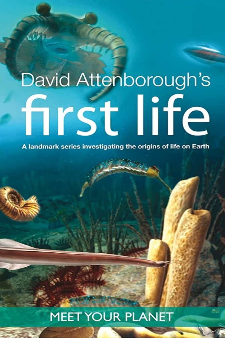 Episodes in First Life - Miniseries - Miniseries Poster of Episodes in First Life - Miniseries - Miniseries