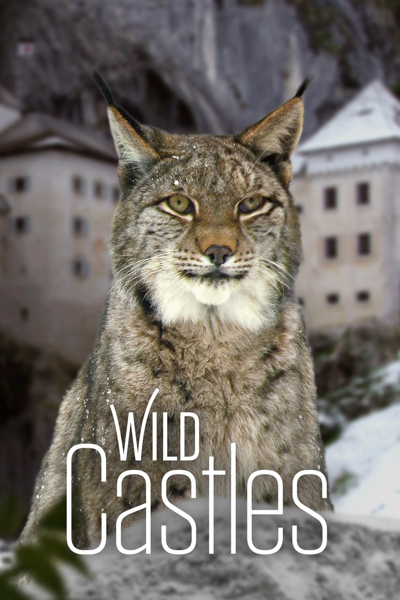Wild Castles Poster of Wild Castles