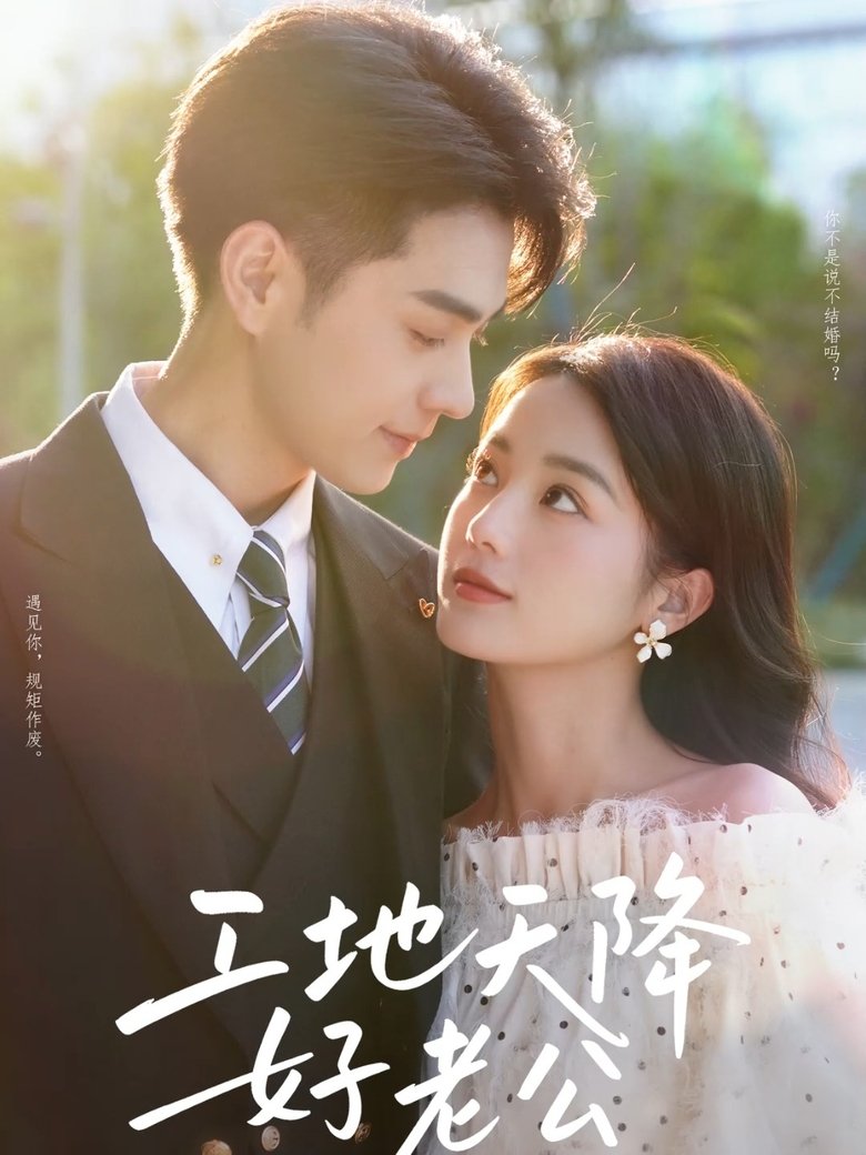 工地天降好老公 Poster of 工地天降好老公