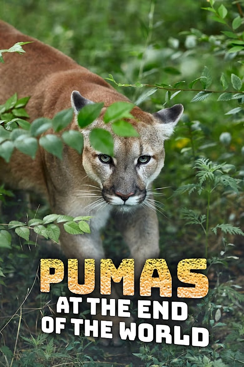 Pumas At The End of The World Poster of Pumas At The End of The World