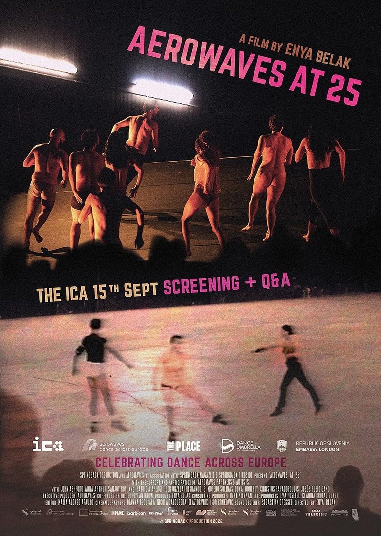 Aerowaves at 25 Poster of Aerowaves at 25