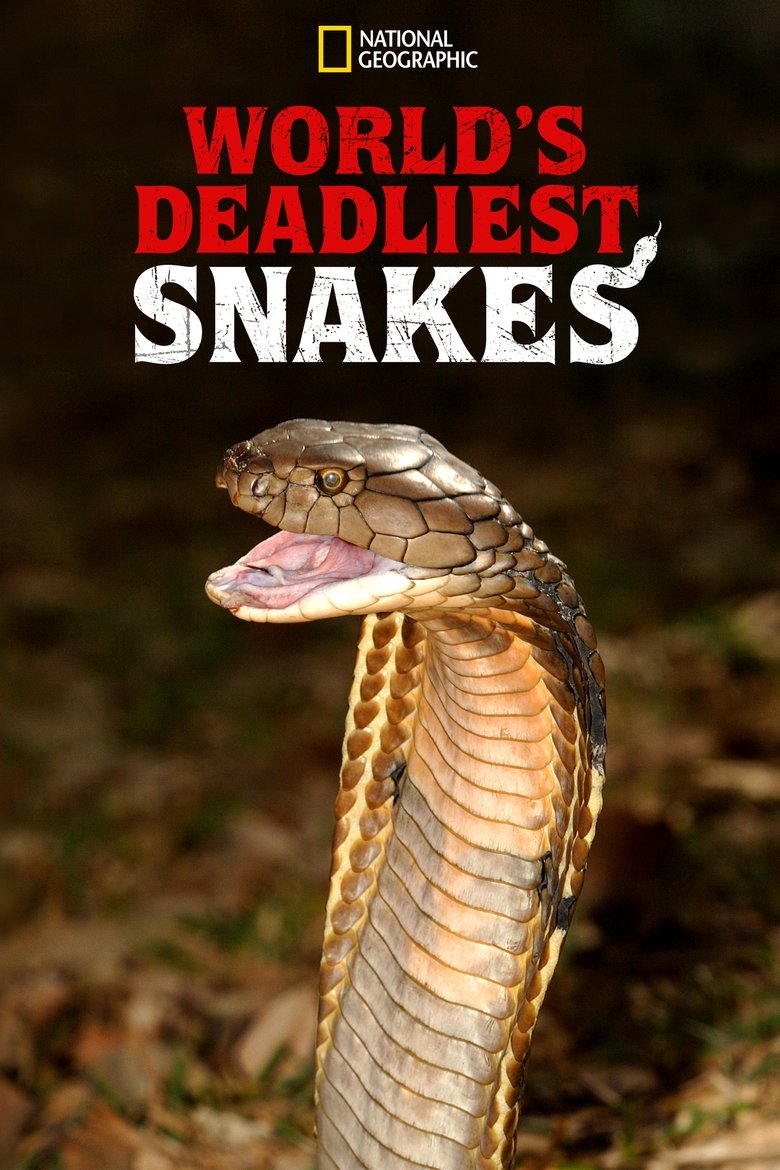 Episodes in World's Deadliest Snakes - Season 1 - Season 1 Poster of Episodes in World's Deadliest Snakes - Season 1 - Season 1