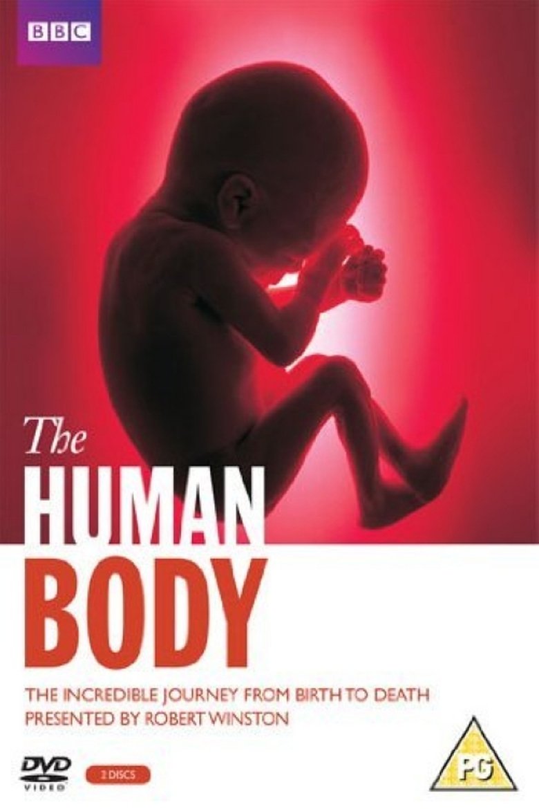 The Human Body Poster of The Human Body