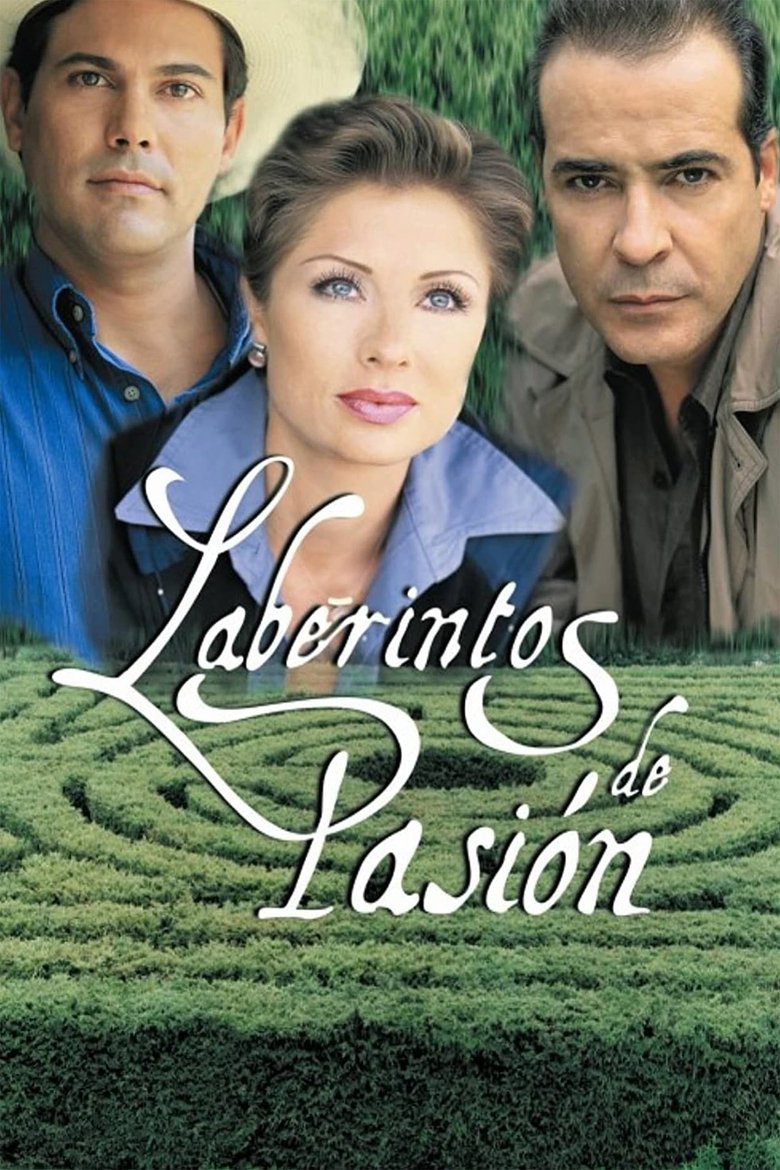 Labyrinth of Passion Poster of Labyrinth of Passion