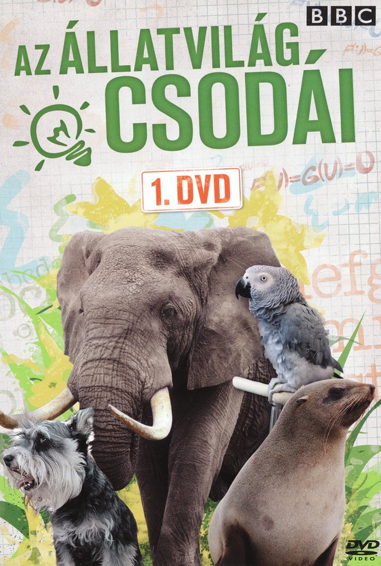 Episodes in Extraordinary Animals - Season 1 - Season 1 Poster of Episodes in Extraordinary Animals - Season 1 - Season 1
