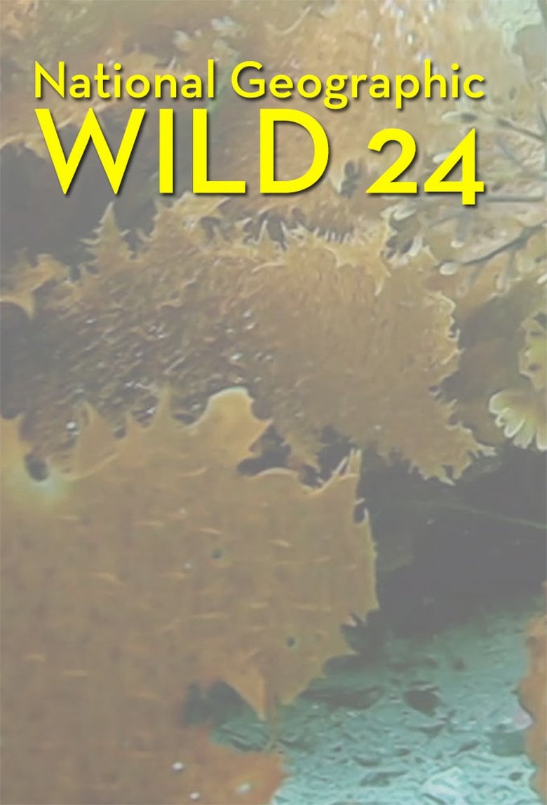 Wild 24 Poster of Wild 24