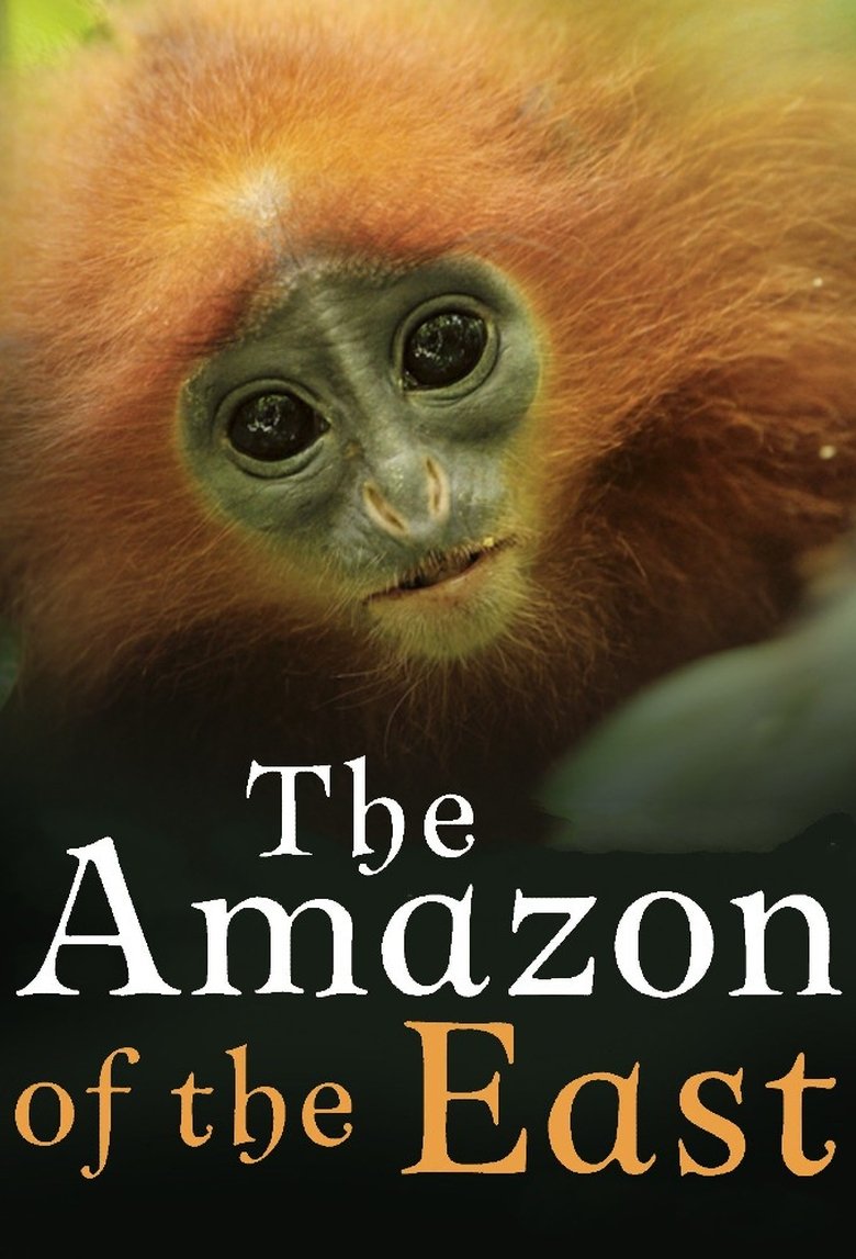 The Amazon of the East Poster of The Amazon of the East