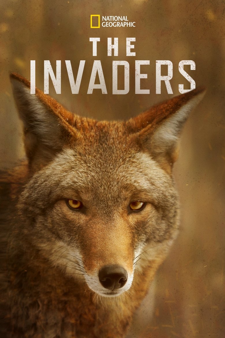 The Invaders Poster of The Invaders