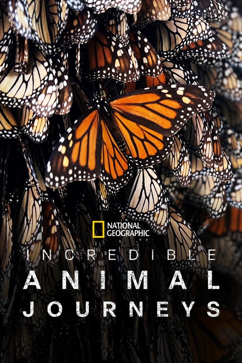 Episodes in Incredible Animal Journeys - Season 1 - Season 1 Poster of Episodes in Incredible Animal Journeys - Season 1 - Season 1
