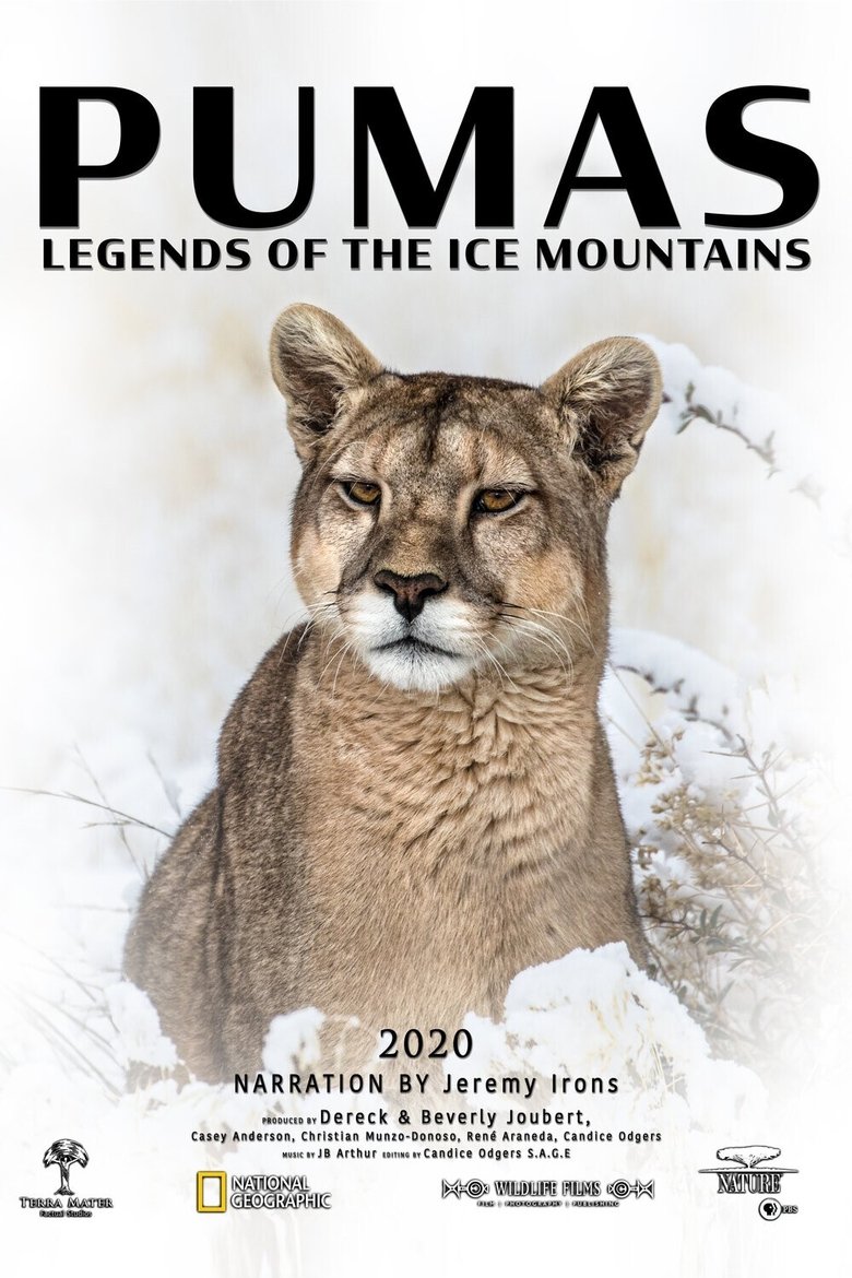 Episodes in Pumas Legends Of The Ice Mountains - Season 1 - Season 1 Poster of Episodes in Pumas Legends Of The Ice Mountains - Season 1 - Season 1