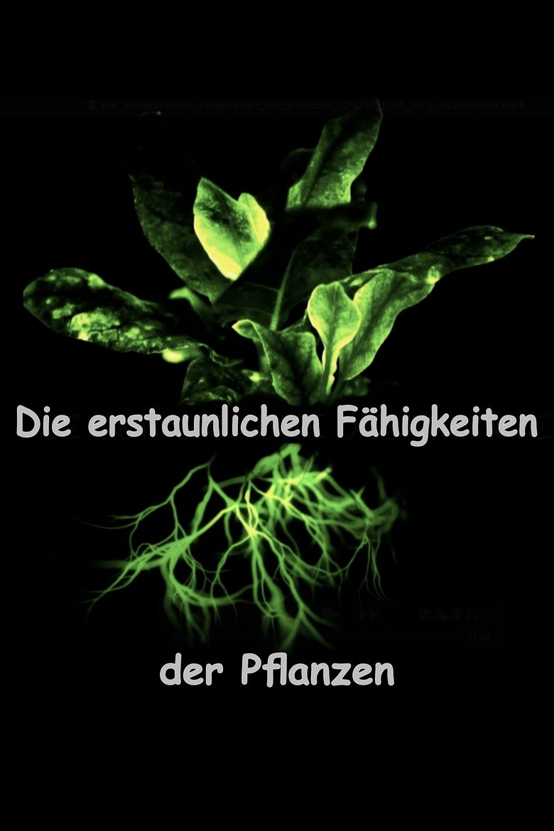 Episodes in The Amazing Abilities Of Plants - Season 1 - Season 1 Poster of Episodes in The Amazing Abilities Of Plants - Season 1 - Season 1