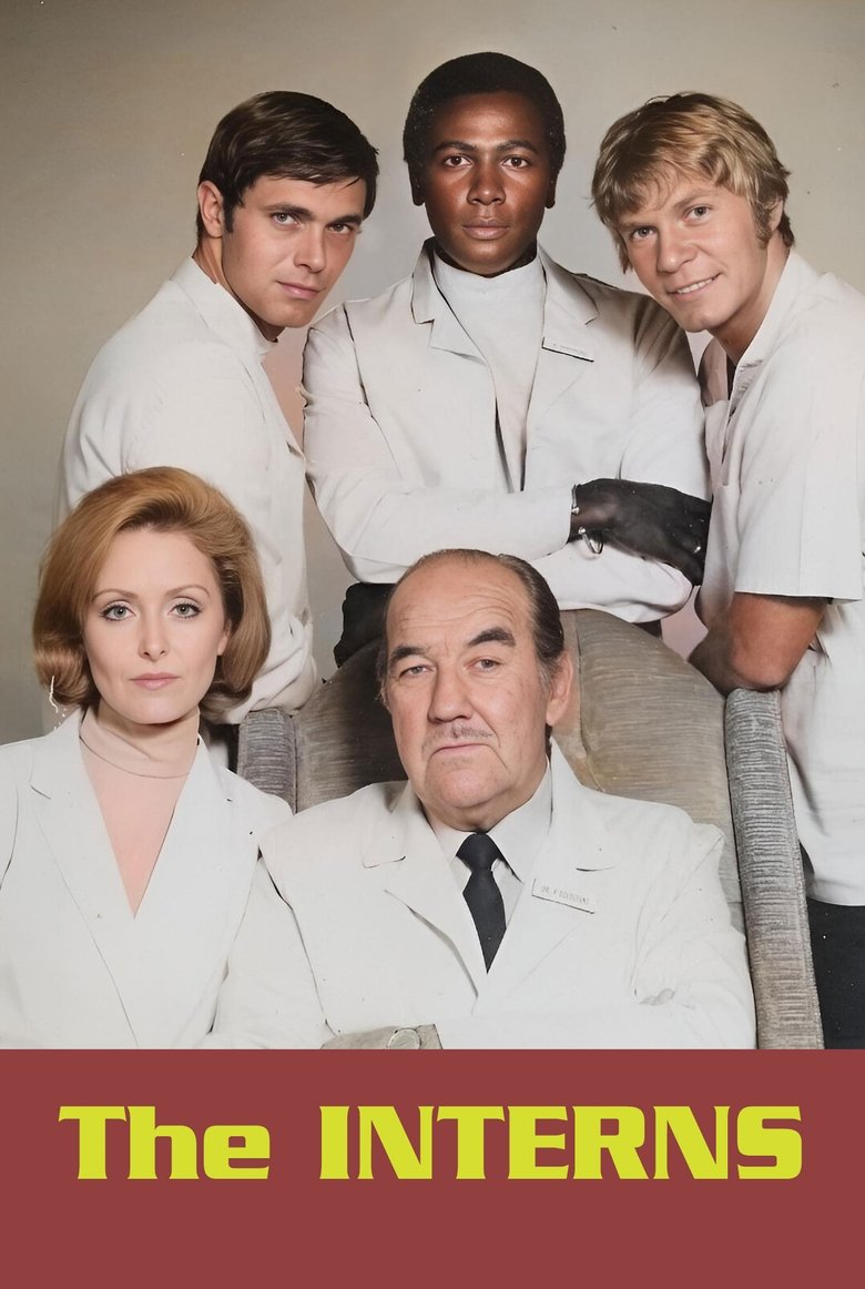 The Interns Poster of The Interns