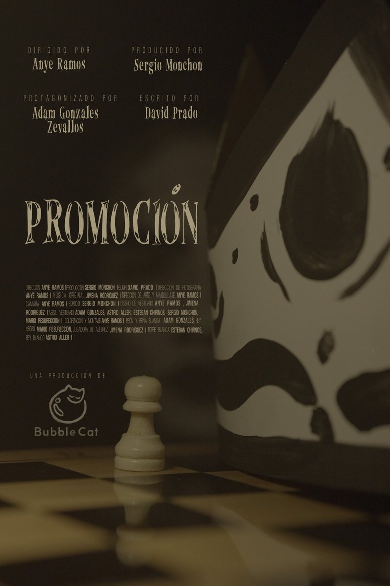 Promotion Poster of Promotion