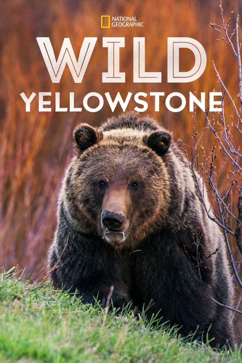 Wild Yellowstone Poster of Wild Yellowstone