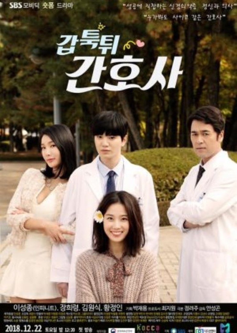 Mysterious Nurse Poster of Mysterious Nurse