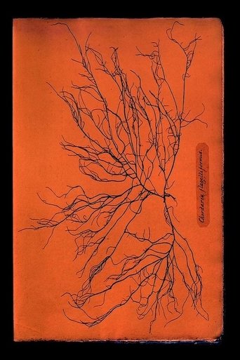 Poster of Ghost Protists