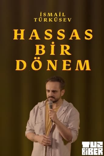 Poster of Hassas Bir Dönem - İsmail Türküsev