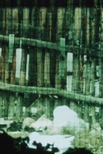 Poster of The Loom