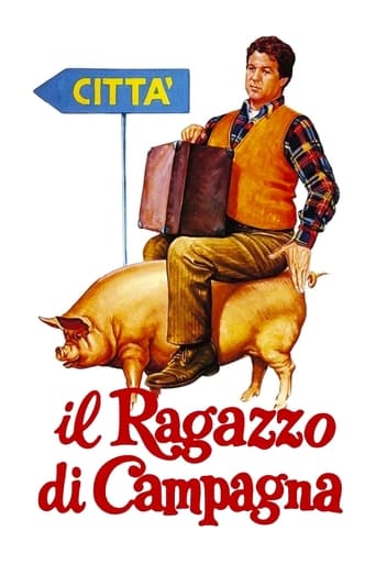 Poster of Il ragazzo di campagna