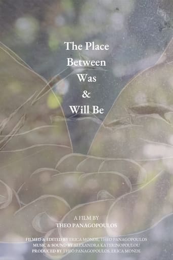 Poster of The Place Between Was & Will Be