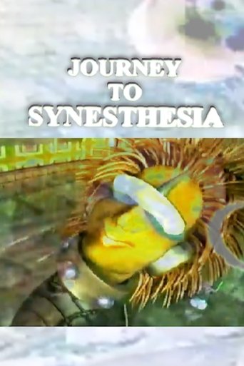 Poster of Journey to Synesthesia