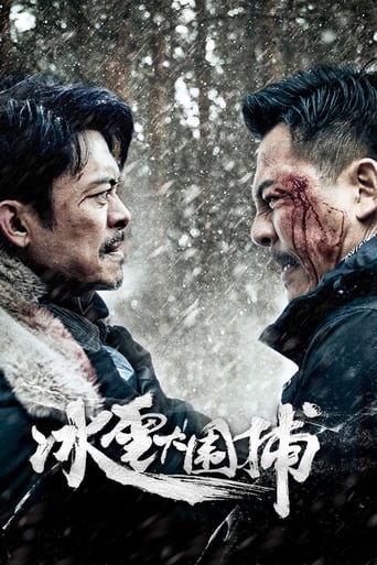 Poster of Snowstorm