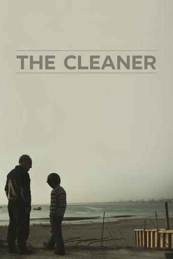 Poster of The Cleaner