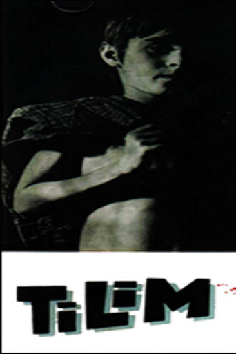 Poster of Tilim