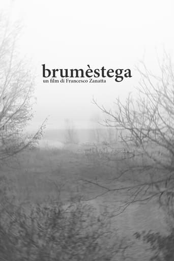 Poster of brumèstega