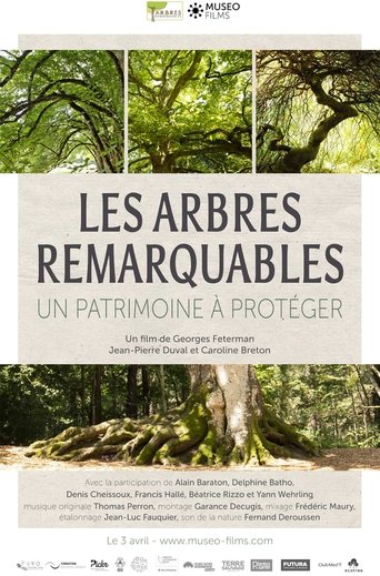 Poster of Les arbres remarquables, un patrimoine à protéger